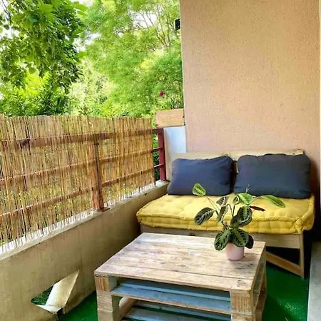 Mon Cocoon Toulousain Cosy Idealement Situe Апартаменты Тулуза